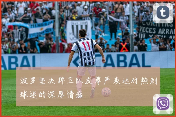 波罗坚决捍卫队友尊严表达对热刺球迷的深厚情感