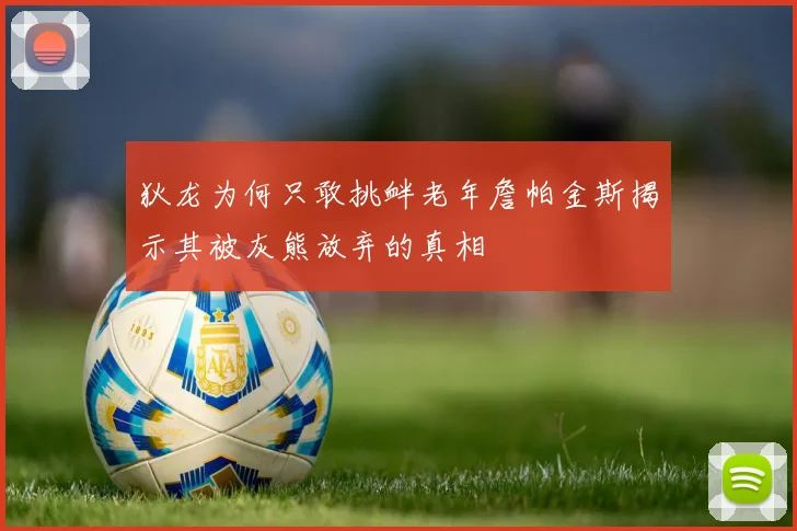 狄龙为何只敢挑衅老年詹帕金斯揭示其被灰熊放弃的真相